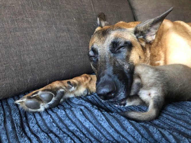 96330751_726561601425743_5423359898782007296_n