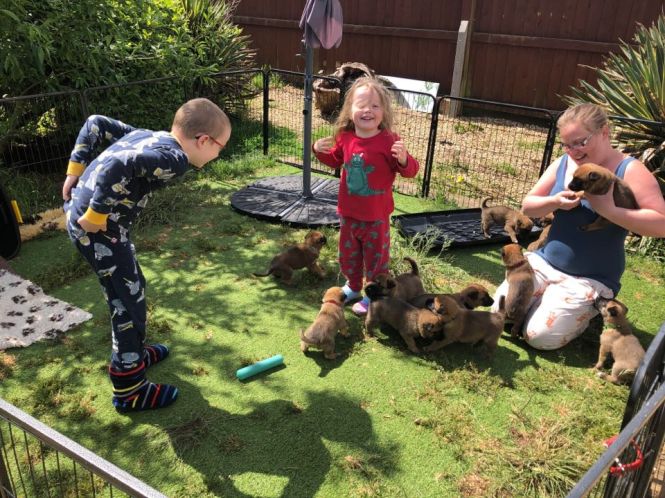 96385761_640527733197540_7147247956217823232_n