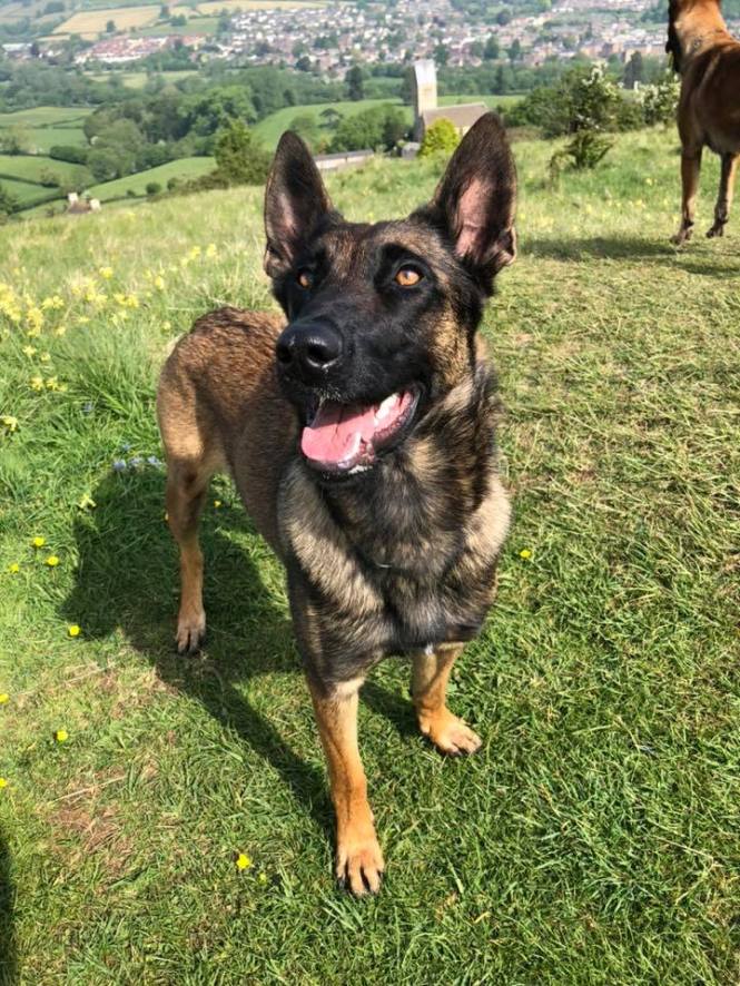 96561866_2895062340543576_8650459919675293696_n