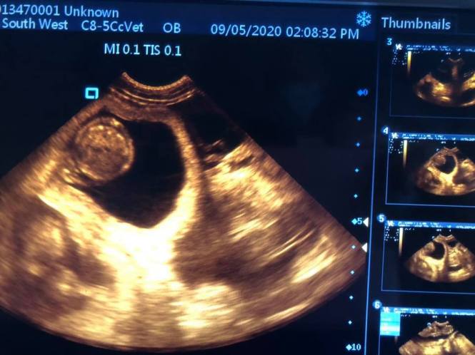 97060079_2895062410543569_3392543934956699648_n