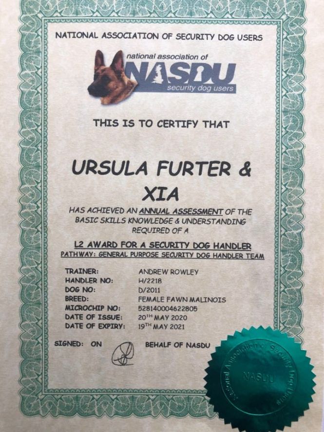 101390018_247063313053245_4709479979920916480_n