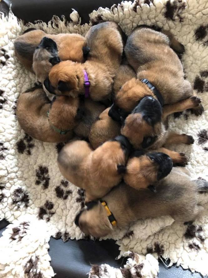 104163141_2985554688161007_8089143844741124816_n