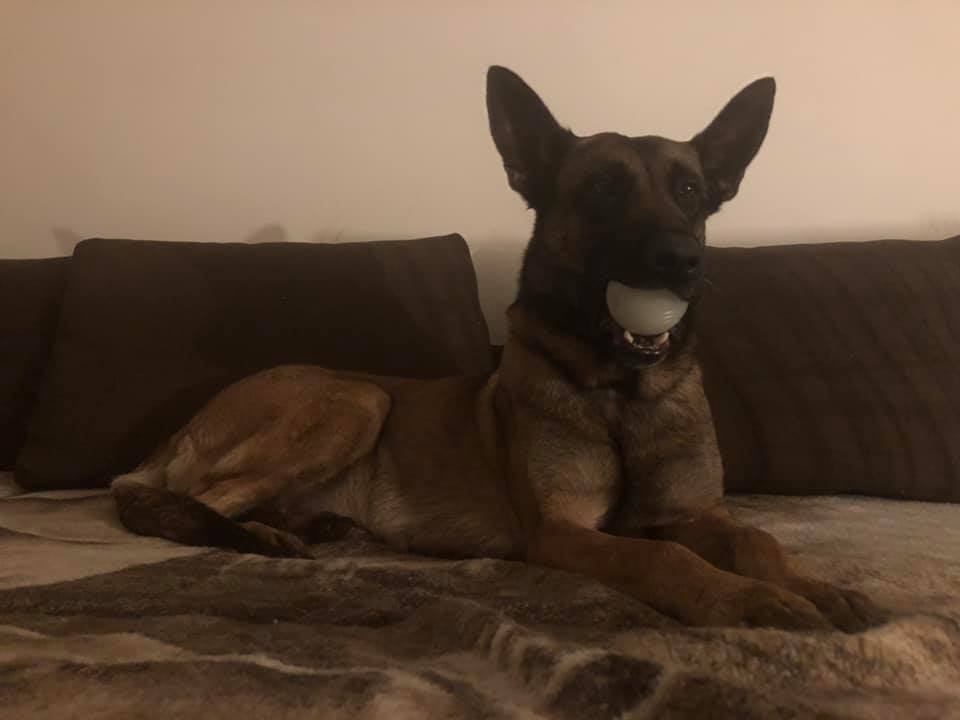 144282664_3620238128025990_6261507773137186940_n