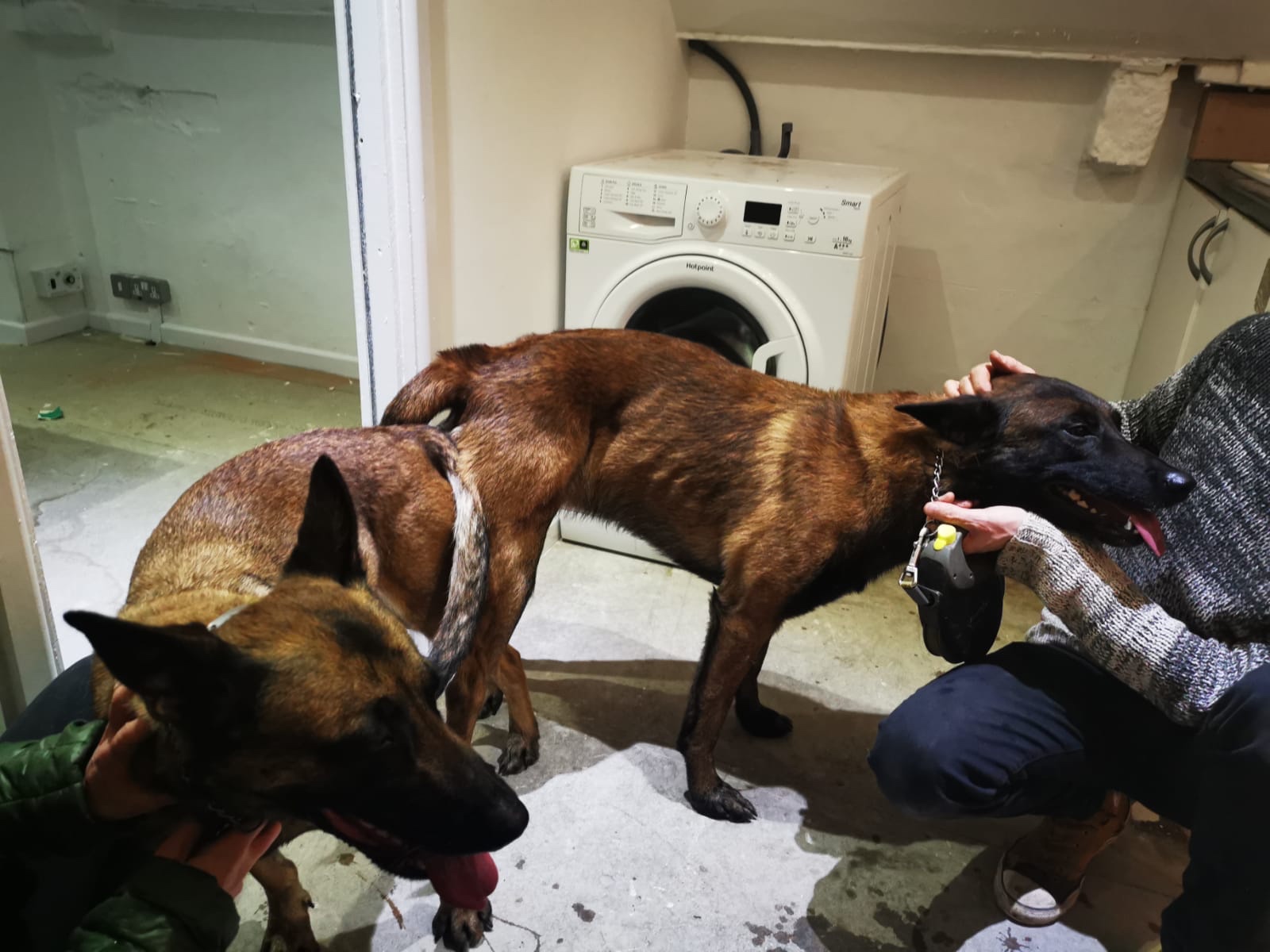 af268ed6-5466-4bc5-ab07-7c4e59c9e84a