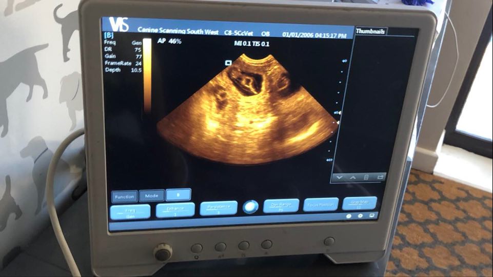 153789086_1079899792478460_7128644389690570642_n