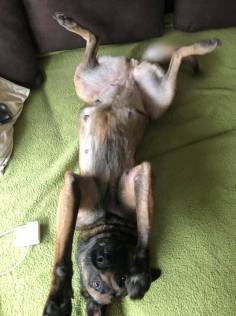 154064751_3683277955055340_66057494360238646_n