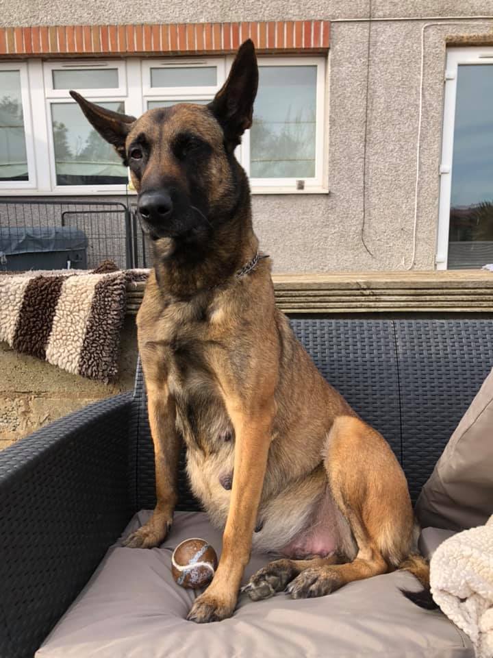 159324379_3726922804024188_4998227710113597783_n