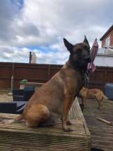 160146933_3736985683017900_2968589561471049802_n