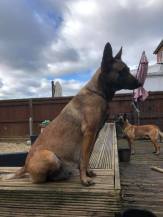 160149144_3736985736351228_1952247846284736975_n