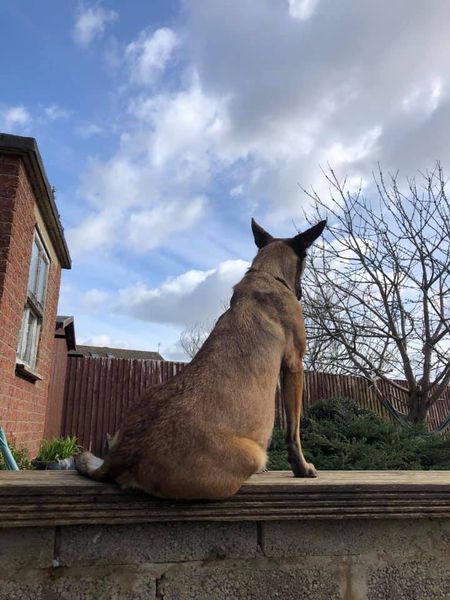 161313465_3742260085823793_8897333240267477228_n