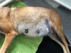 162655903_163703042249089_7823933283306530972_n