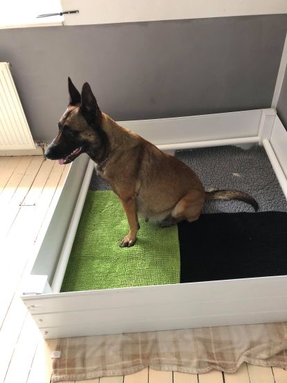 162661588_474619027234927_3867028015766059460_n