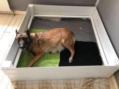 162730595_916600599142896_1871191623161469438_n