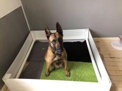 163059954_546348193006097_8944791769555622018_n