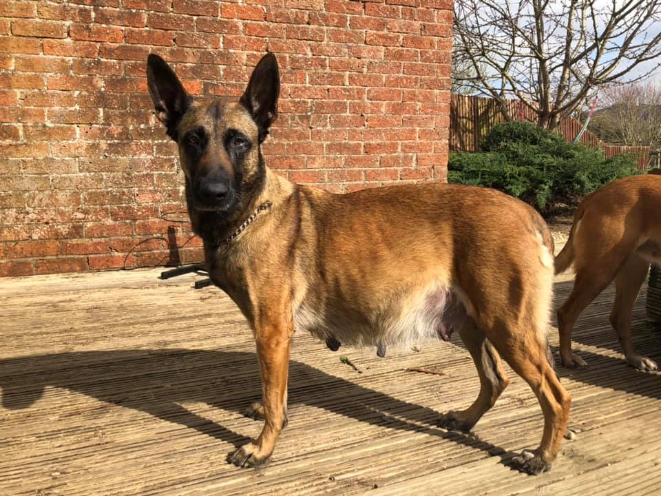 163475215_3760651477317987_8035575657372011984_n