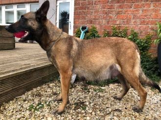 164686307_3768312283218573_8074350694592855065_n