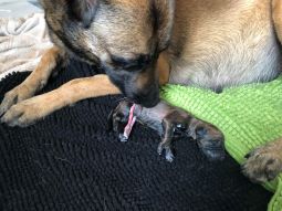 166179002_254688586333297_8999924438366695343_n