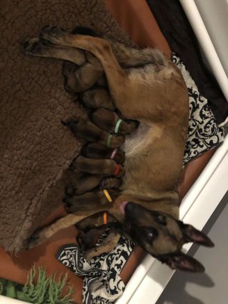 166325915_746997695963859_5503544805426539592_n