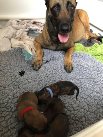 166430420_1939327032897989_1132531623209257015_n