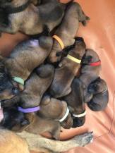 166581646_3781961398520328_5064921850534921550_n