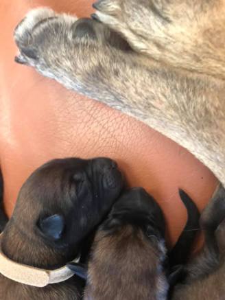 166589792_3781961325187002_1805254709024966481_n