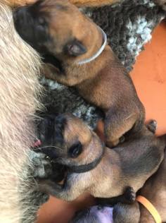 166601534_3781961561853645_1478833895222727123_n