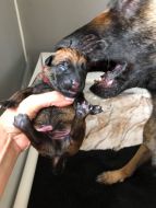 166671511_2806585389655875_7530465637640333398_n