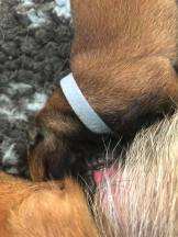 166703781_3781961485186986_8250067745219113419_n