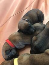 166750987_3781961511853650_2256197473153277322_n