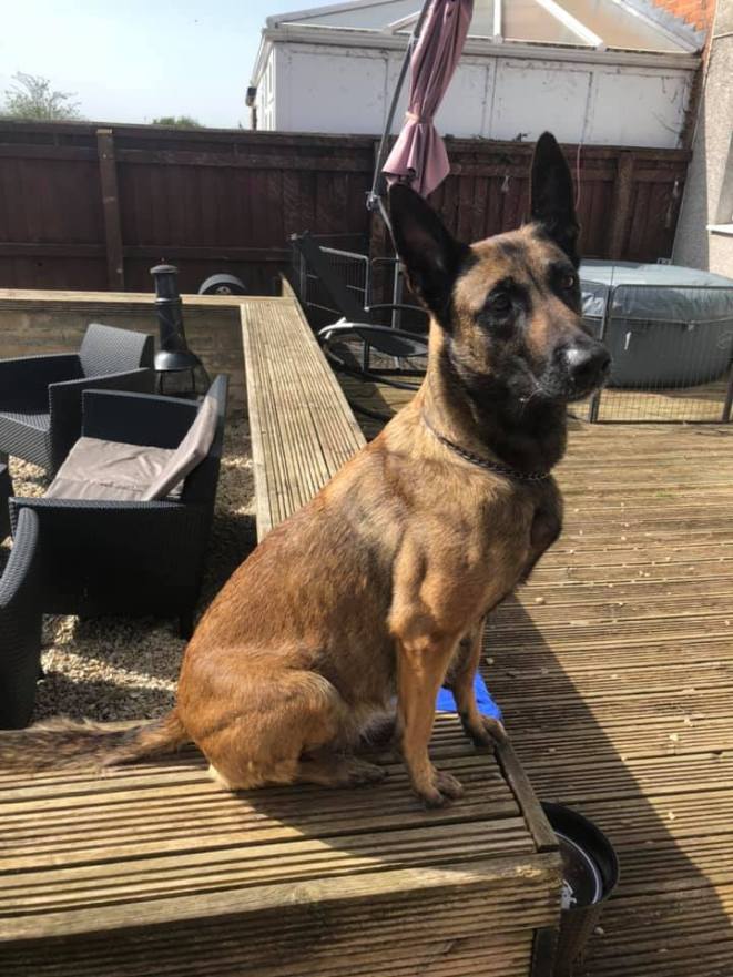 2 days after giving birth to 11!