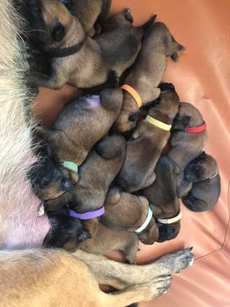 166977040_3781961355186999_888833480948762653_n