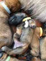 168409289_3797147217001746_8794828272241399610_n