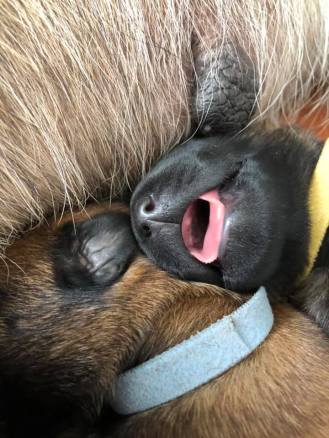 168420371_3797146817001786_7483997433061103379_n