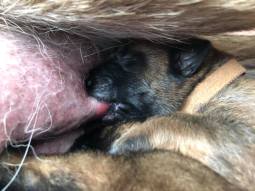 168429764_3797147710335030_6918209226385296729_n