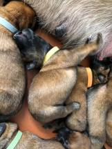 168446368_3797147947001673_6940569471078385877_n