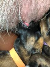 168824215_3797147463668388_6651674384585452043_n