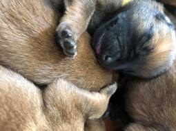 168864894_3797147053668429_3964091024551061024_n