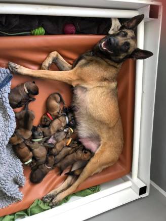 168892442_3797145813668553_623558886853701809_n