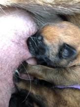 168994028_3797146240335177_3388256596002186801_n