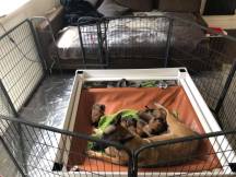 173194944_3829344827115318_8673372098571555910_n