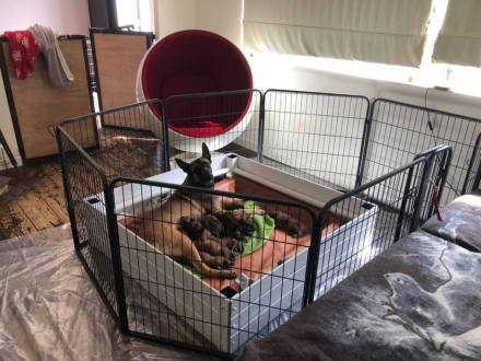 173275347_3829344800448654_5140225602536026163_n