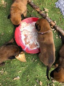 174257392_3842331299150004_4731776333497570895_n