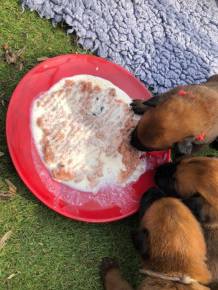 175141576_3842331072483360_9141004903800797851_n