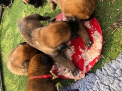 175432329_3842331105816690_2188408185717831006_n