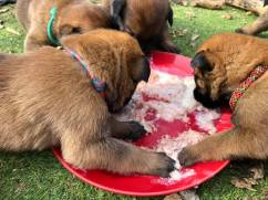 175467298_3842331019150032_8355301312297199615_n