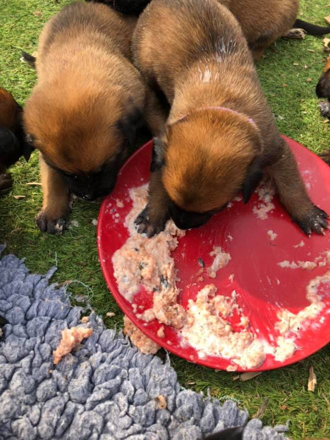 175614162_3842331172483350_3654950737595419331_n