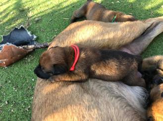 175628059_3846073668775767_8305810471487735500_n