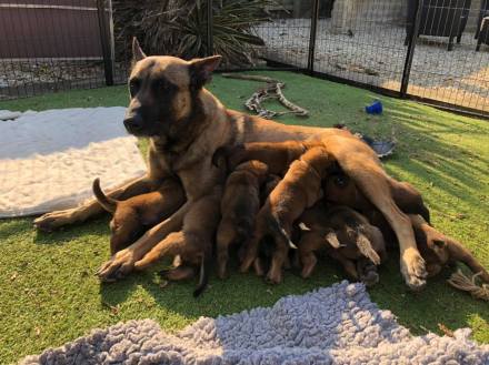 175807357_3846028582113609_1839190521891827143_n