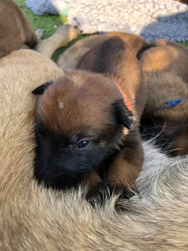 175863717_3846075768775557_24763510942498616_n