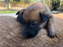 175886722_3846073788775755_861754467158781870_n